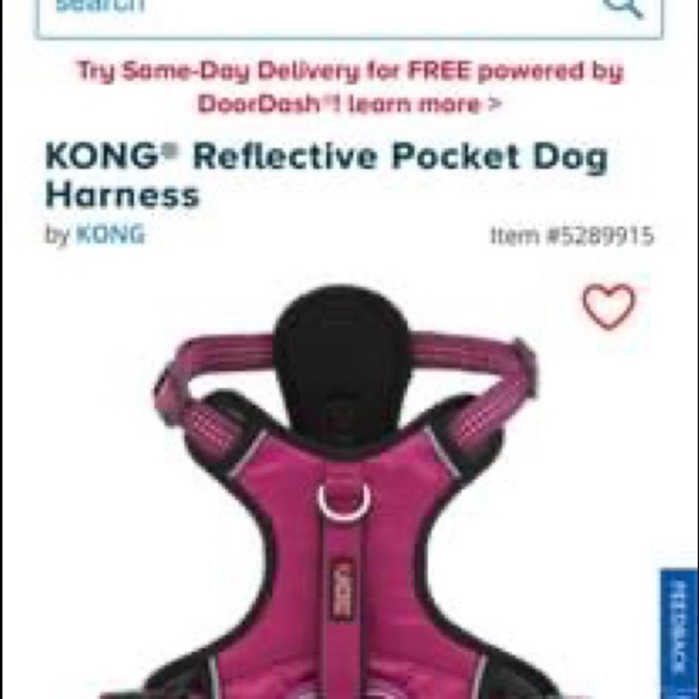 Kong harness and color
